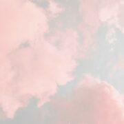 Dreamy scents cover