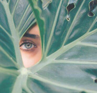 OCCHI BLU DIETRO UNA FOGLIA VERDE