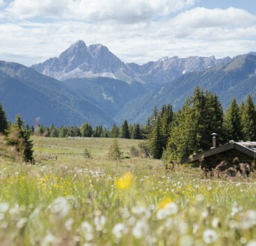Malghe in fiore