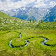 Bagno nella foresta - Valle Aurina