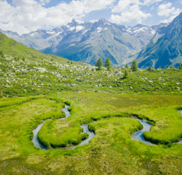 Bagno nella foresta - Valle Aurina