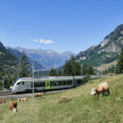 Trenino Verde delle ALPI