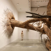 Opera di Henrique Oliveira