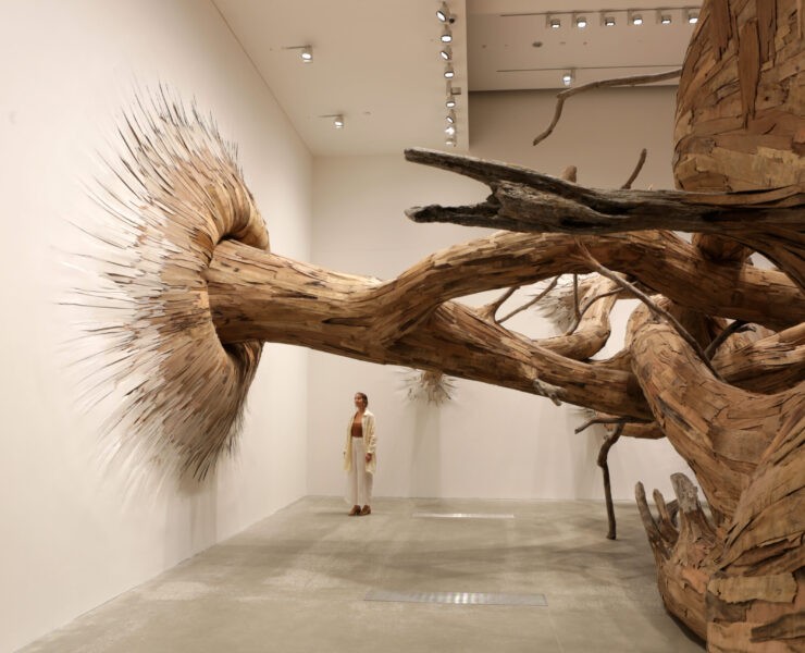 Opera di Henrique Oliveira