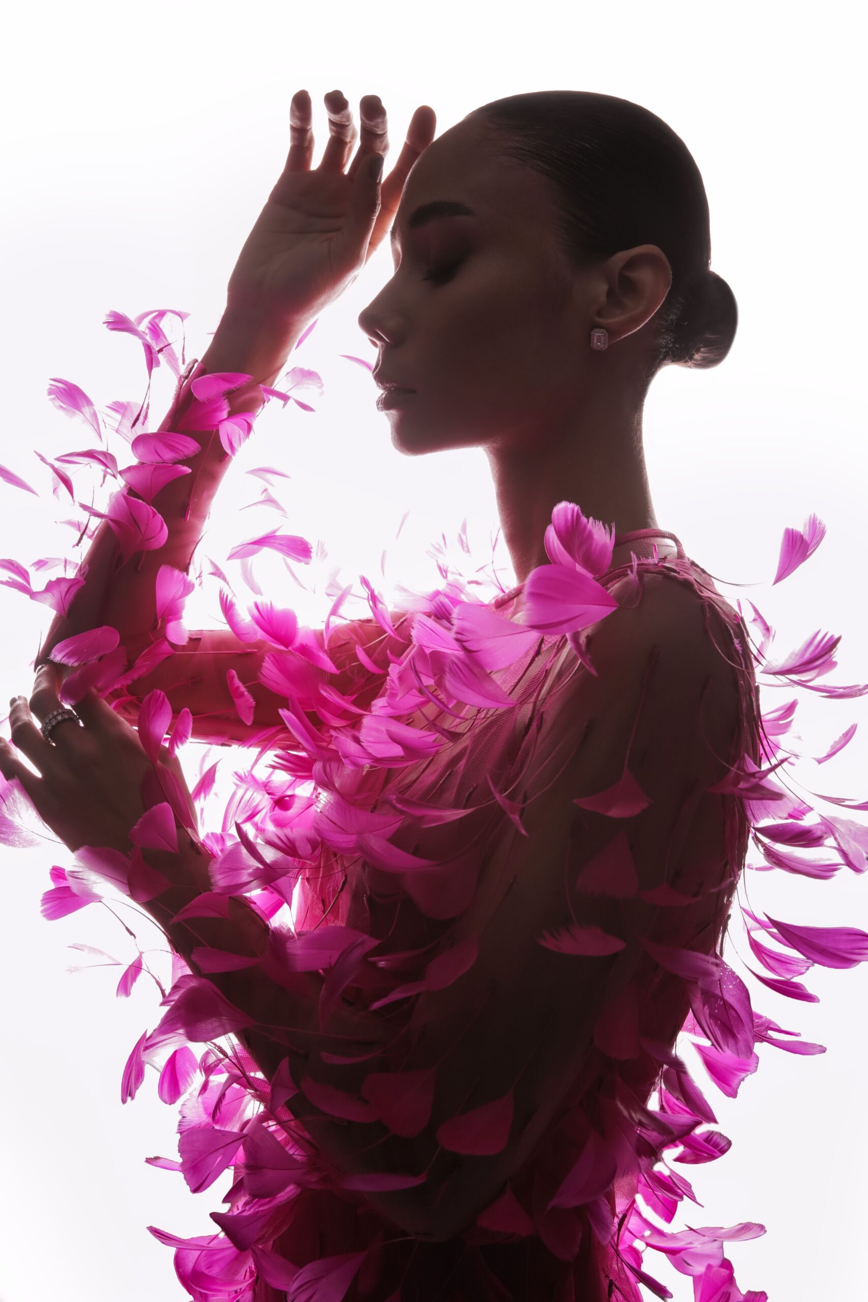 STARSSYSTEM-COLLINI-EURALYA