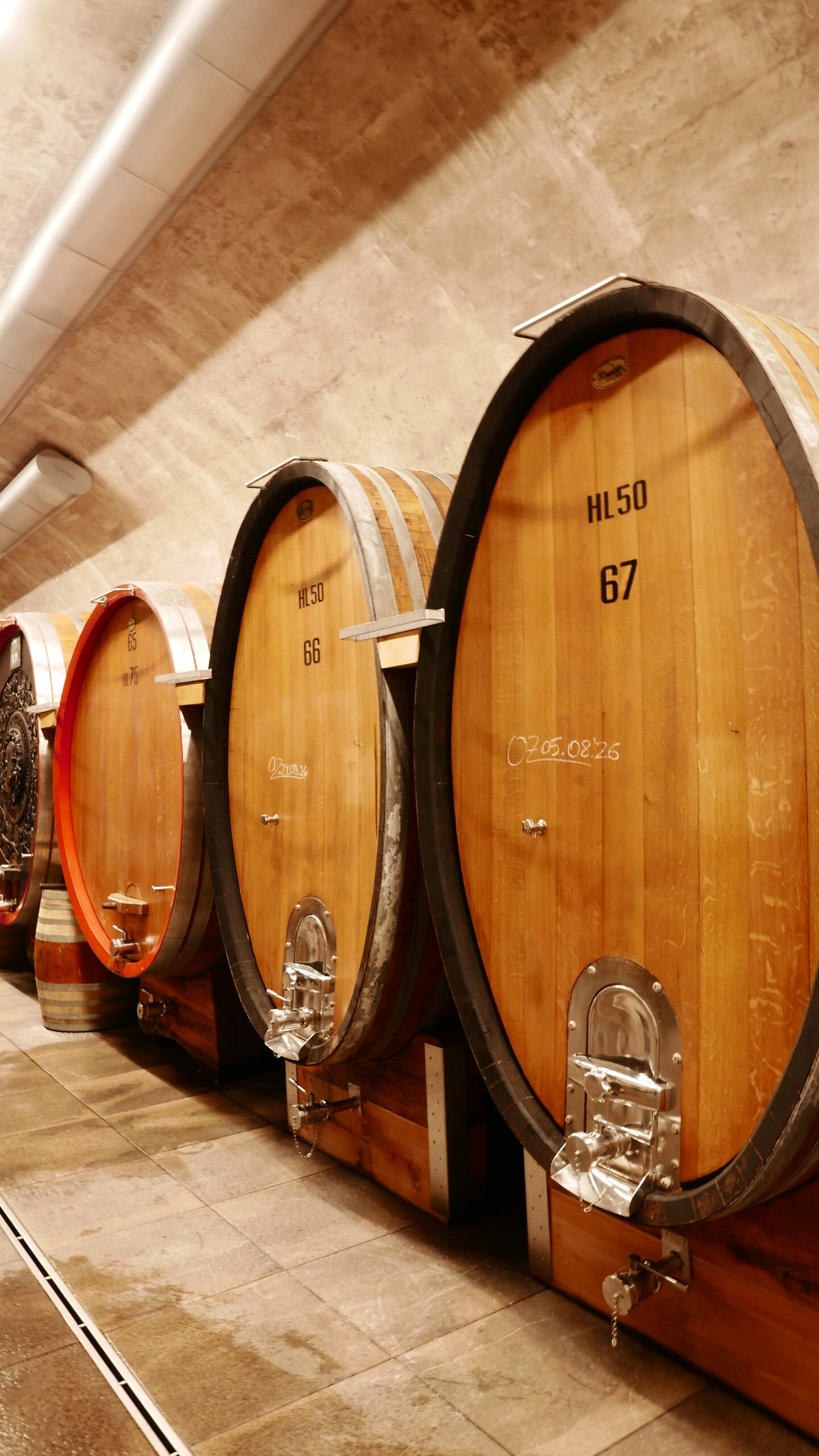 Caldaro Cantina Kaltern 8