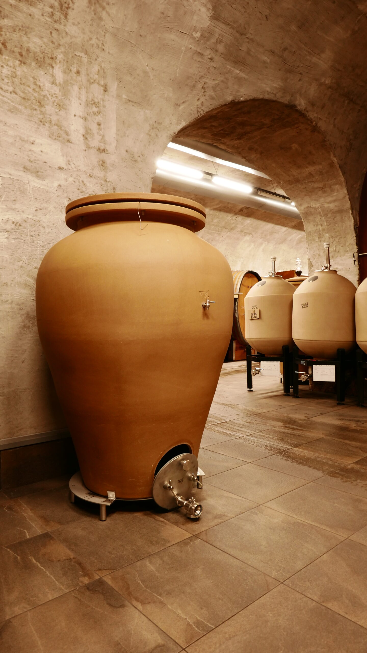 Caldaro Cantina Kaltern 3