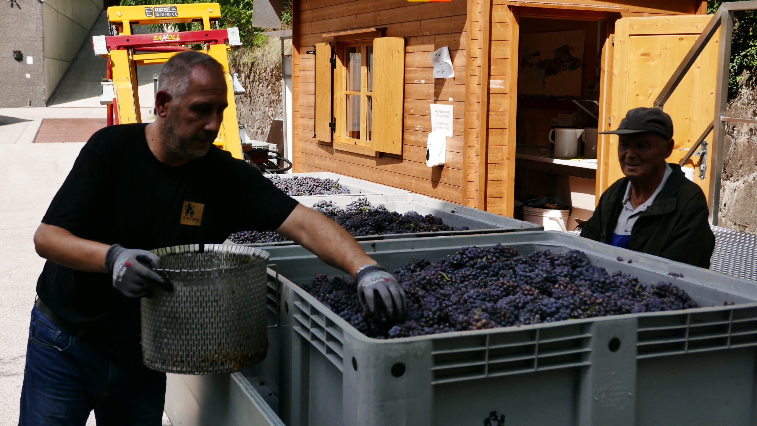Caldaro cantina Kaltern