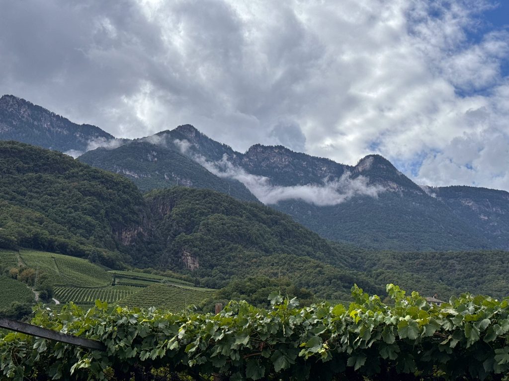 Caldaro vista montagna