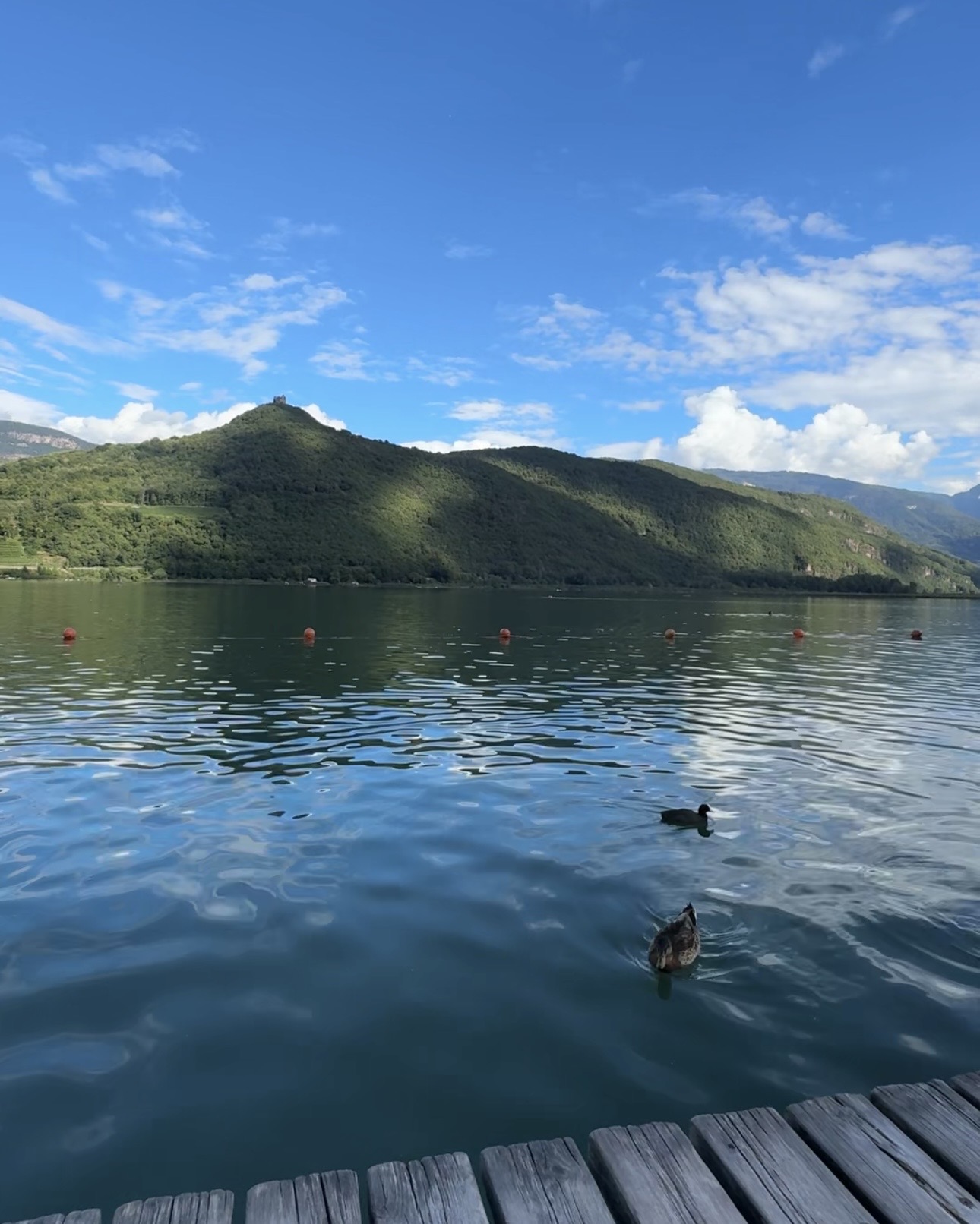 Lago di caldaro vert