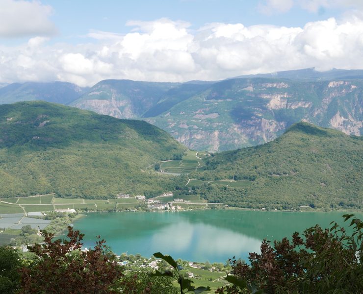 boschi di caldaro