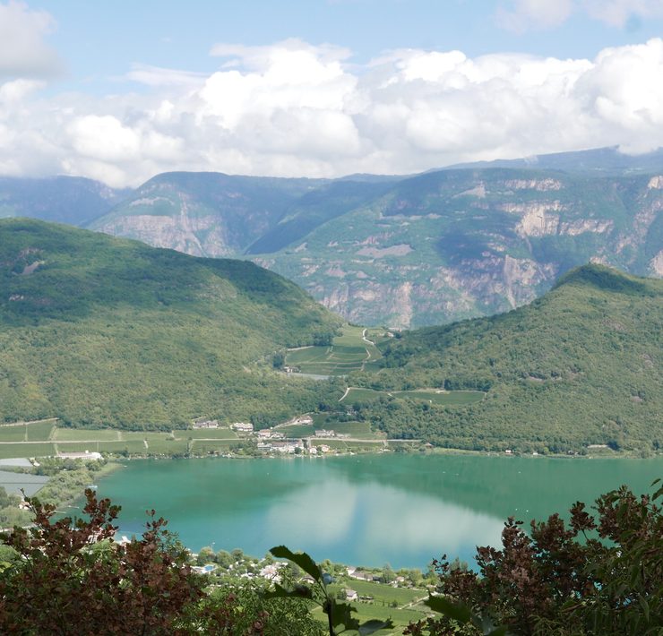 boschi di caldaro