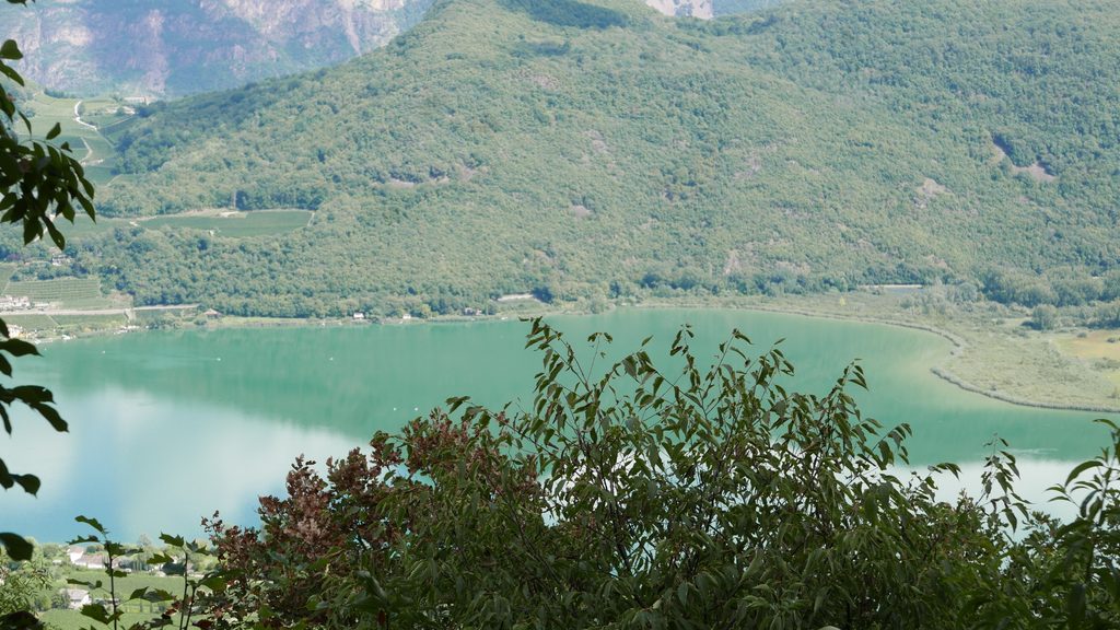 vista lago di caldaro
